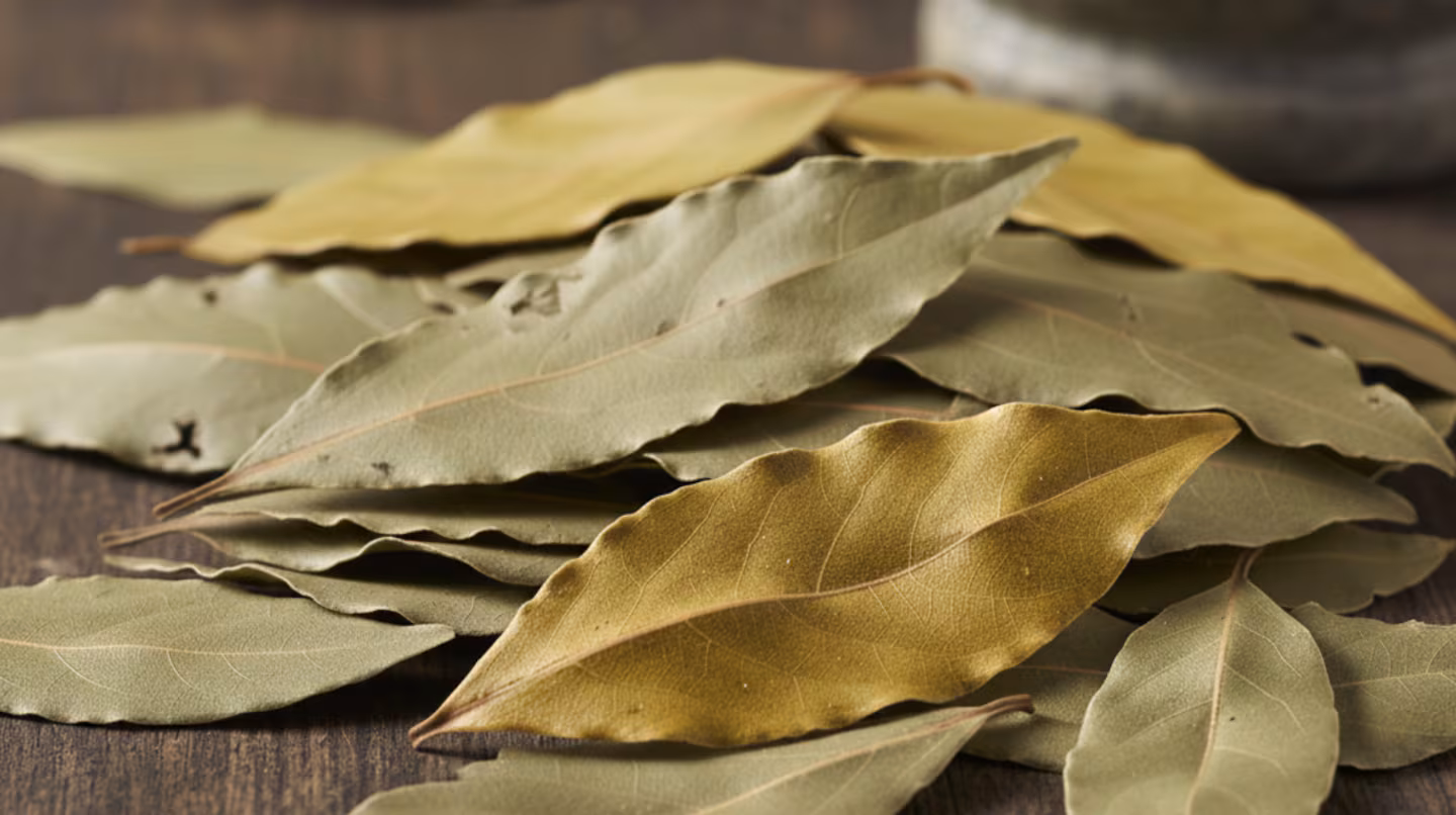 Každý večer doma zapaluji bobky: trik mých předků funguje dodnes